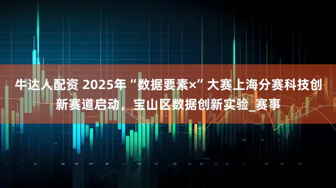 牛达人配资 2025年“数据要素×”大赛上海分赛科技创新赛道启动，宝山区数据创新实验_赛事