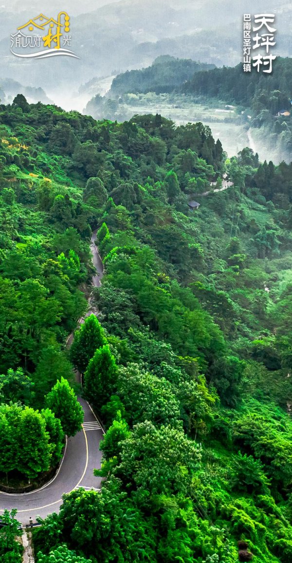 华信配资 渝见好“村”光 | 幽林漫径: 巴南区圣灯山镇天坪村